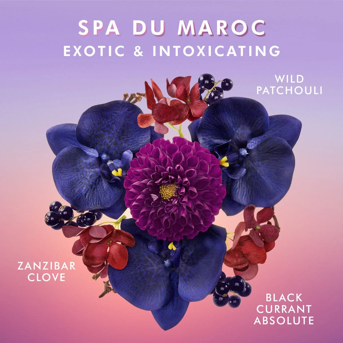 Body Lotion Spa Du Maroc - Image 4
